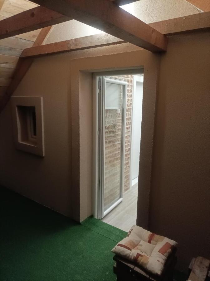 Apartmani Marija Zemun Zemun Polje Extérieur photo