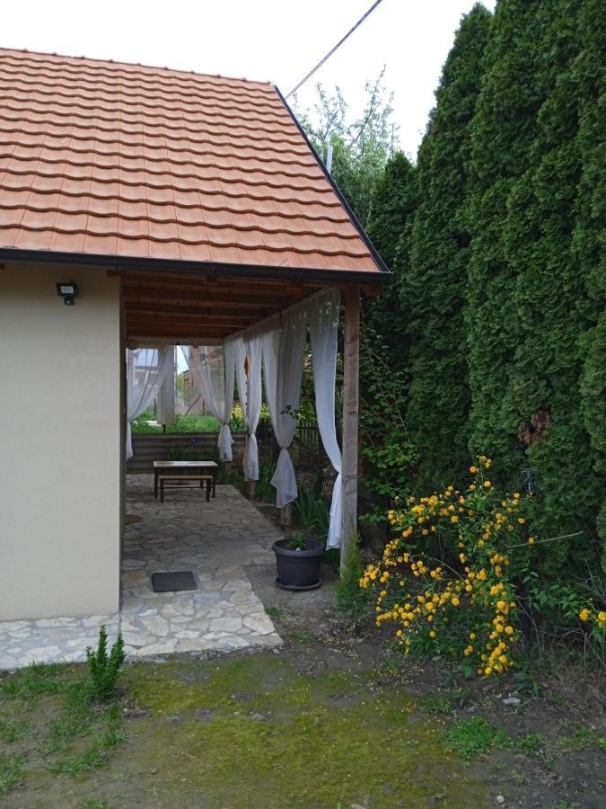 Apartmani Marija Zemun Zemun Polje Extérieur photo
