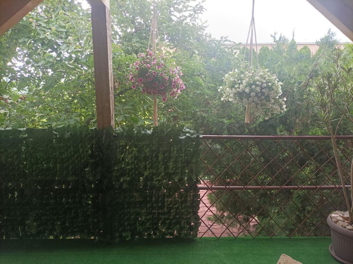 Apartmani Marija Zemun Zemun Polje Extérieur photo